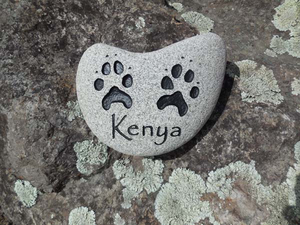 Kenya Ziernberg.jpg