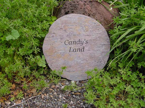 Candys Land.jpg
