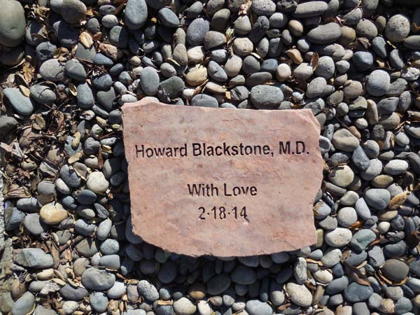 Howard Blackstone for Family Life Center Petaluma.jpg
