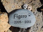 Figaro Carter, CAH2.jpg
