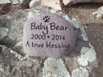 Baby Bear Clemons-Hargis.jpg