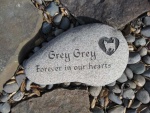Grey Grey Yeakey 6-1-2011 4-44-47 PM.jpg