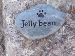 Jelly bean Patton, All Tails Wagging.jpg