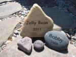 Jelly Bean,Lulu,Tara, Bobby.jpg