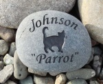 Johnson Parrot Lawder.jpg