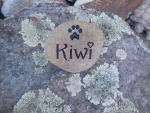 Kiwi Lastufka, Pet Care East.jpg