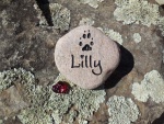 Lilly O'Connor.jpg