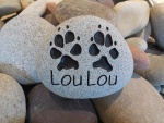 Lou Lou Harris, Pet Care East.jpg