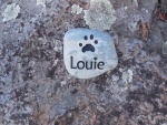 Louie Zoccolillo, Holistic Animal Care.jpg