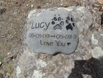 Lucy Hernandez, Pet Care East.jpg