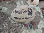 Maggie George, Pet Care West employee Megan.jpg
