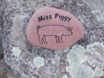 Miss Piggy Hernandez, ordered by Tammy Isaacs ESRV.jpg