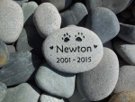 Newton Dussault, Pet Care employee.jpg