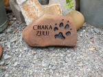 Chaka Zulu, Pet Care East.jpg