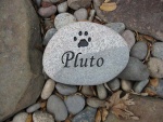 Pluto Derdula.jpg