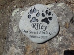 Riley Fay, Pet Care.jpg