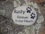 Rusty Fiori, Pet Care East.jpg