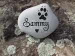 Sammy, ordered by Kaitlyn Hanna ESRV.jpg