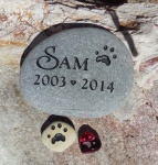 Sample stones for Sonoma County Mobile Vet. Janet Foley.jpg