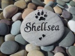 Shellsea Barry, ordered by Nena Meola.jpg