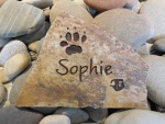 Sophie, ordered by Delisa at SVH.jpg