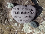 The soul of an old dog stone, Lily's Legacy auction.jpg