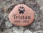 Tristan.jpg