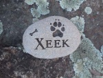 Xeek, ordered by Lynett Bunyard.jpg