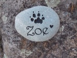 Zoe Reif, Pet Care East.jpg
