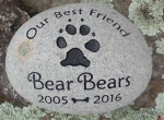 Bear Bears Torres, Pet Care East.JPG