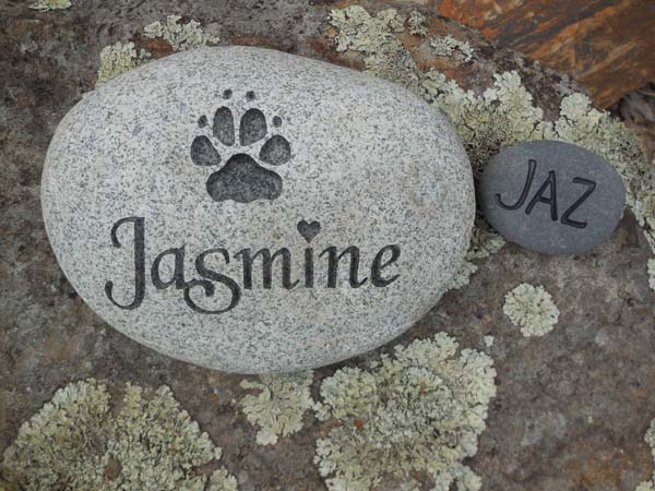 Jasmine Chase, SVH referral 2.jpg