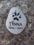 Anna Stone-Nilsen, SVH referral.jpg