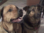 Sadie and Daisy Brown.jpg