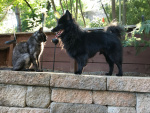 ThunderBug and Ebony Love.jpeg