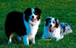 Rudy and Lilly Longfellow.jpeg