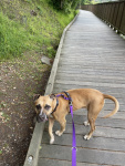 April Nagasako on her walk.jpeg
