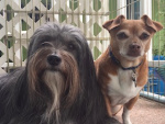 Clifford and Amber Cox.jpg