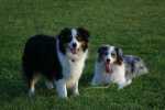 Rudy and Lilly Longfellow.jpg