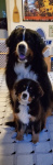 Teddy Sanders and little one 2022.jpg