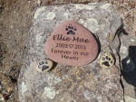 Ellie Mae Williams, Township AH.jpg