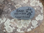 Enzo Thomhart, Kim Soderhom DVM Pet Care.jpg