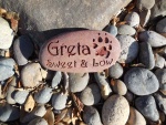 Greta ,ordered by Joe Lam, Silverado Vet.jpg