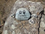 BabySu Su, Pet Care.jpg