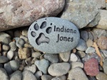 Indiana Jones Wood.jpg