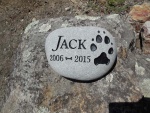 Jack Banayat, Pet Care.jpg