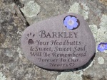 Barkley Riva, ordered by Robyn at ESRV (3).jpg
