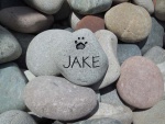 Jake Oppeneer, AWC.jpg