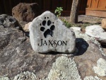 Jaxson LaPoint.McMorran.jpg