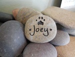 Joey Glass.jpg