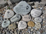 Grouping of stones 2011.jpg